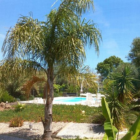 파멜라 Quinta Laranjal Da Arrabida B&B 외부 사진