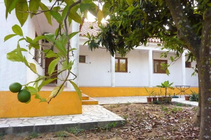 파멜라 Quinta Laranjal Da Arrabida B&B 외부 사진